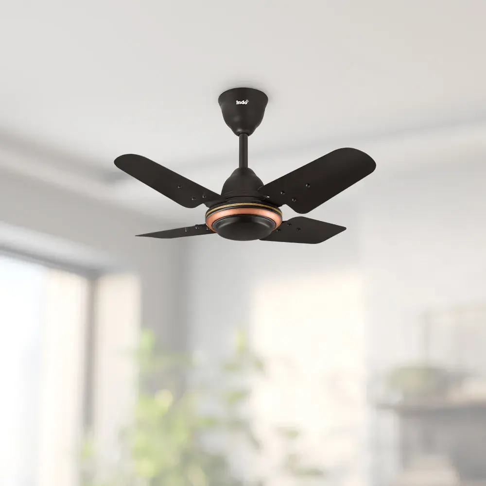 Little Active Star Ceiling Fan